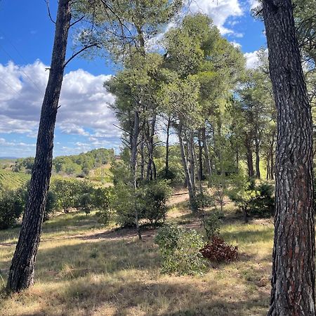 Serge Le Belge - Sejour Authentique Chez L Habitant A Lezignan Corbieres Lézignan-Corbières Buitenkant foto
