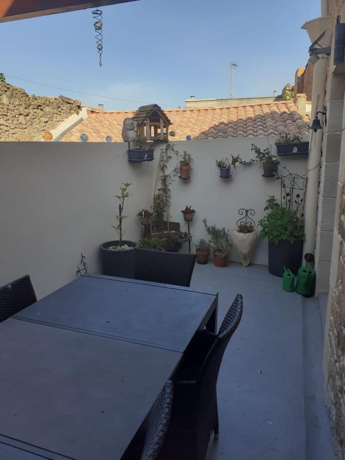 Serge Le Belge - Sejour Authentique Chez L Habitant A Lezignan Corbieres Lézignan-Corbières Buitenkant foto
