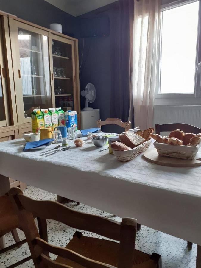 Serge Le Belge - Sejour Authentique Chez L Habitant A Lezignan Corbieres Lézignan-Corbières Buitenkant foto