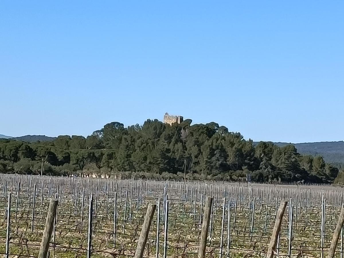Serge Le Belge - Sejour Authentique Chez L Habitant A Lezignan Corbieres Lézignan-Corbières Buitenkant foto