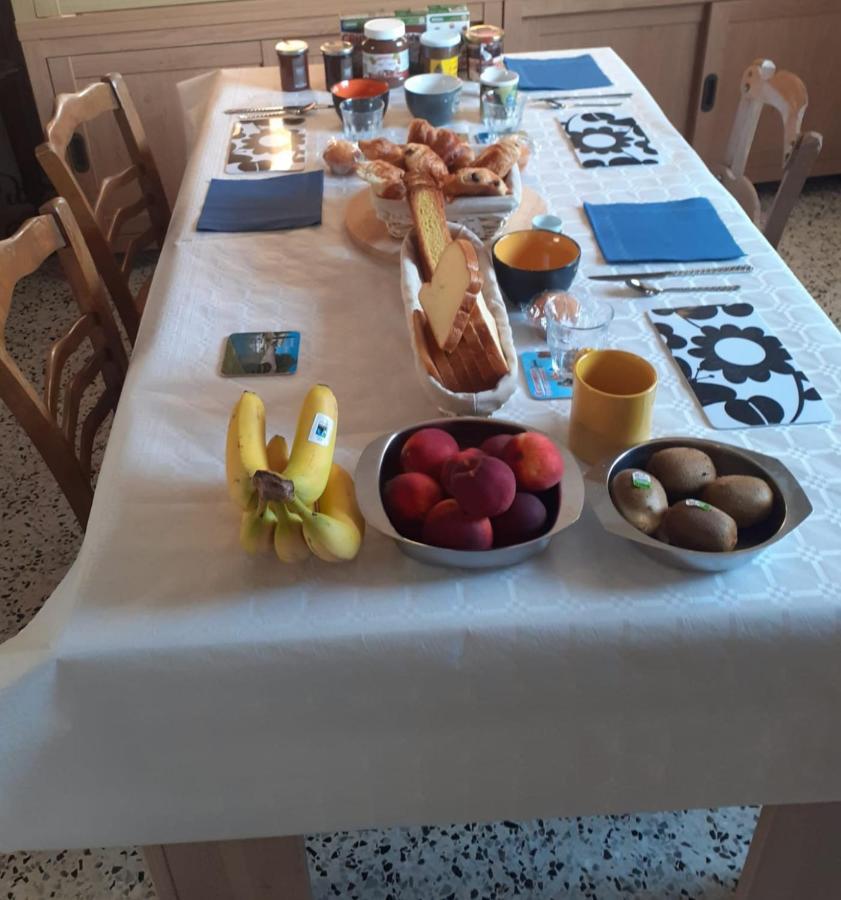 Serge Le Belge - Sejour Authentique Chez L Habitant A Lezignan Corbieres Lézignan-Corbières Buitenkant foto