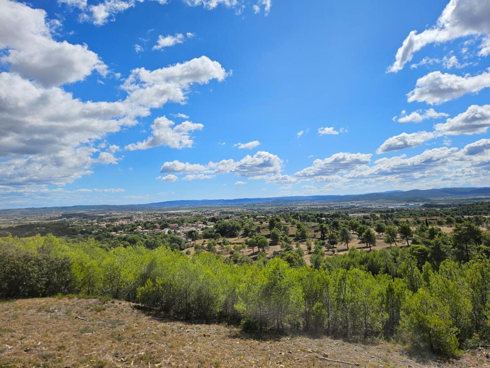 Serge Le Belge - Sejour Authentique Chez L Habitant A Lezignan Corbieres Lézignan-Corbières Buitenkant foto