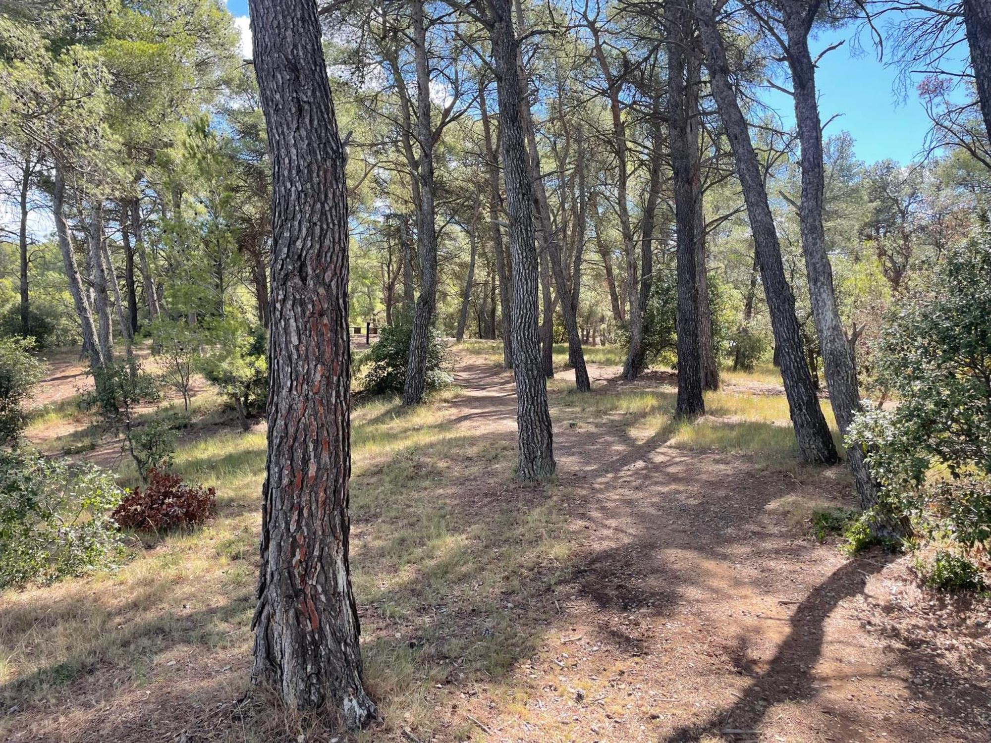 Serge Le Belge - Sejour Authentique Chez L Habitant A Lezignan Corbieres Lézignan-Corbières Buitenkant foto
